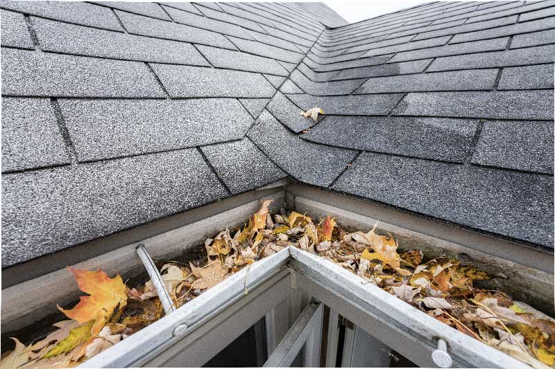 fall roof problems