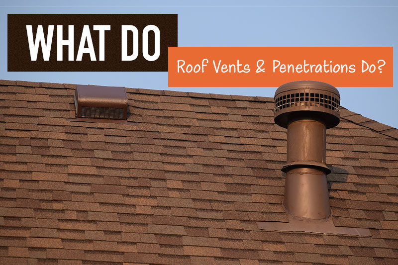 best florida roof
